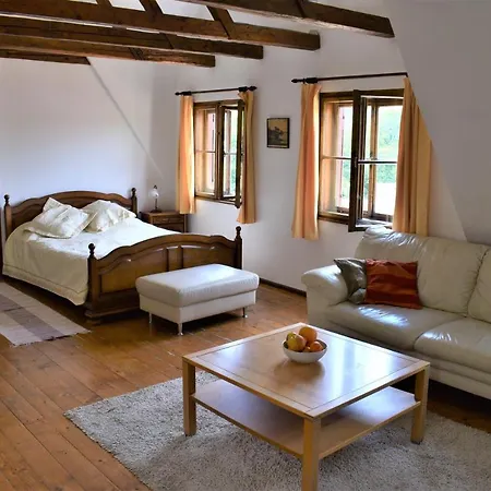 Daire Casa Cojo Sighişoara
